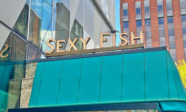 Sexy Fish
